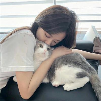 奔月