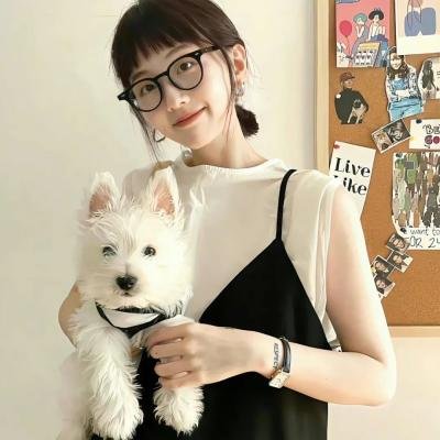 追梦高手